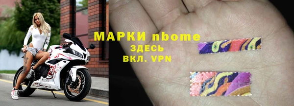 индика Михайлов