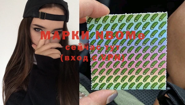индика Михайлов