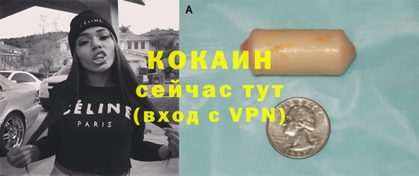 индика Михайлов