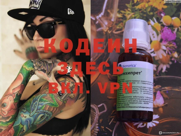 индика Михайлов