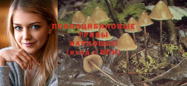 ALPHA PVP Михайловка