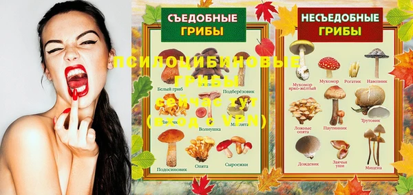 спайс Надым