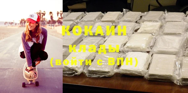 индика Михайлов