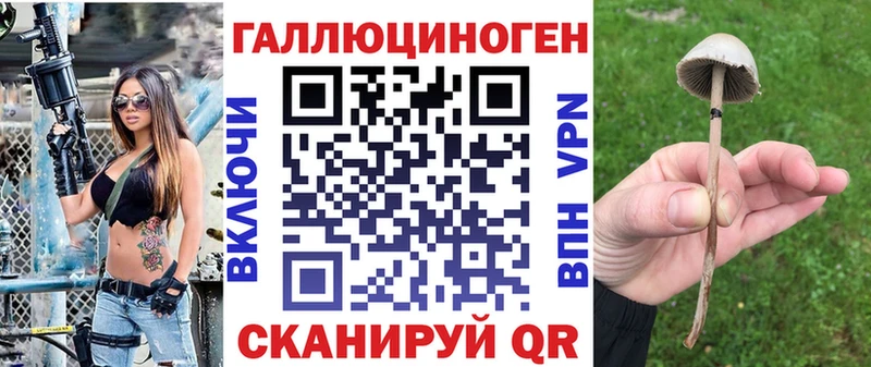 Псилоцибиновые грибы прущие грибы  Уфа 