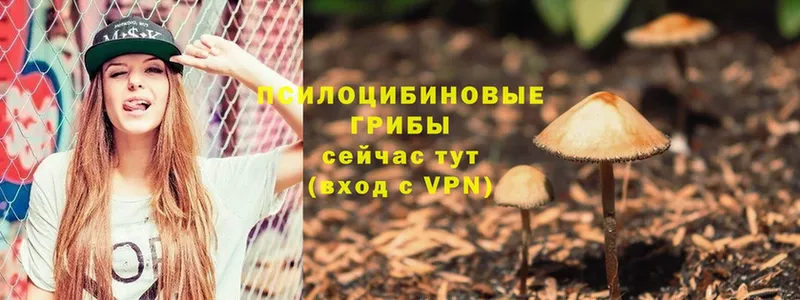 Галлюциногенные грибы Psilocybe  Уфа 