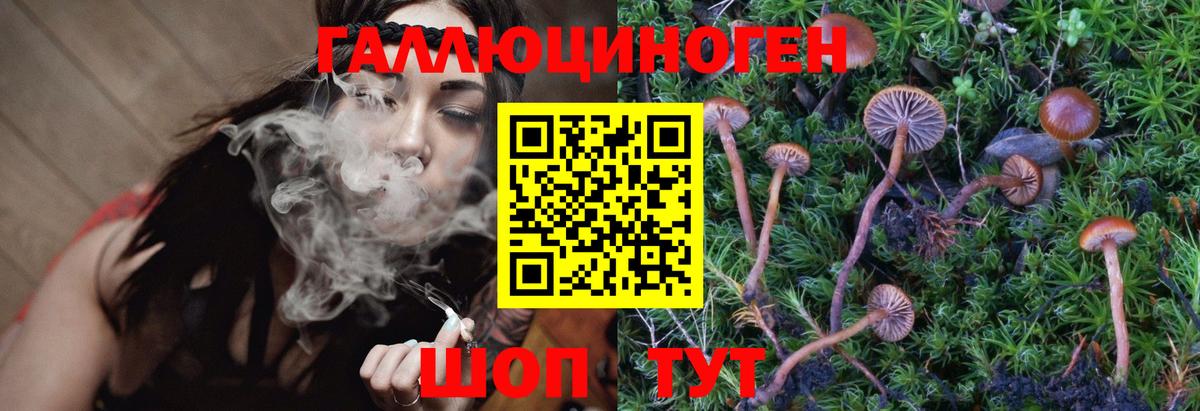 Галлюциногенные грибы Psilocybe  Псилоцибиновые грибы Magic Shrooms  цены   Вход с VPN  Уфа 