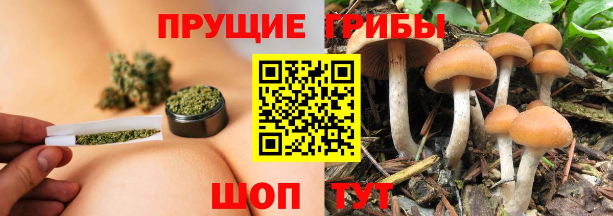 МЕФ Уфа