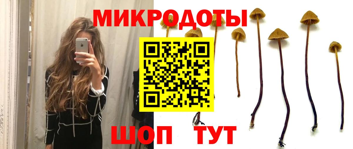 Псилоцибиновые грибы Cubensis Уфа